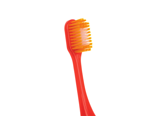 MS-601 Adult Toothbrush Tactory